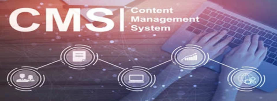 CMS. Content Management System.